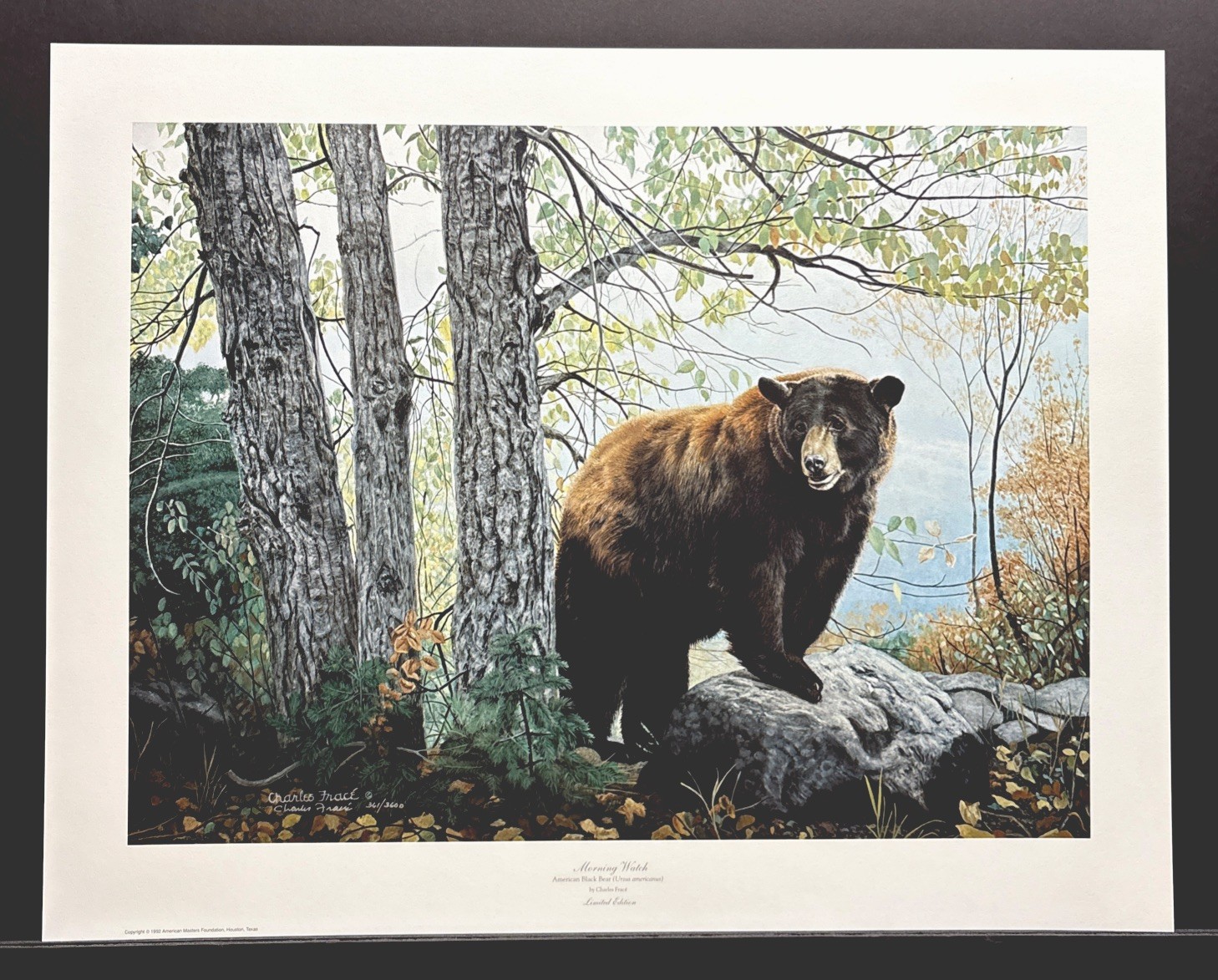 Charles Frace Signed Limited Edition Print “Morning Watch” Black Bear