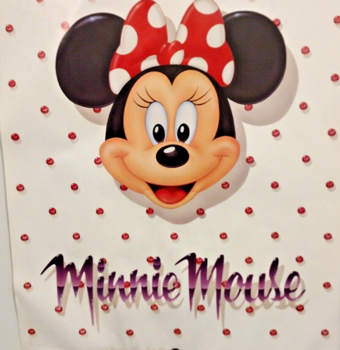 Disney Minnie Mouse: Portrait Open Edition POSTER 22 X 28 inches