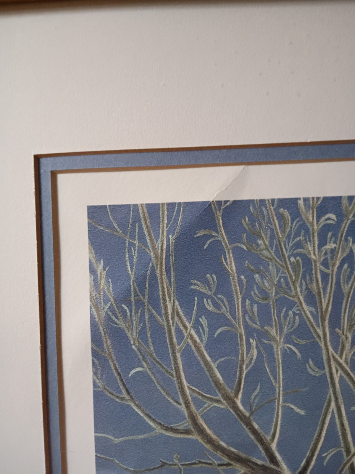 Paul Krapf Matted Framed 23.5×19.5″ signed Numbered #140of850 print Snow Rabbit