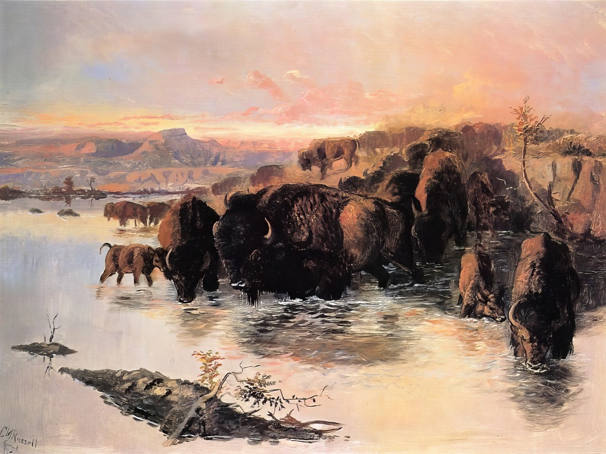 Charles Marion Russell – The Buffalo Herd – Art Print on Paper or Canvas