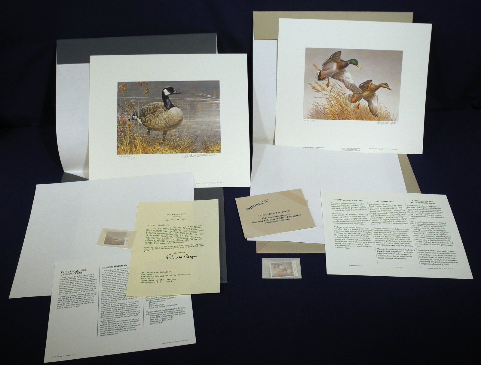 Vintage 1987 1988 Duck Print + Stamp National Fish and Wildlife Foundation Folio