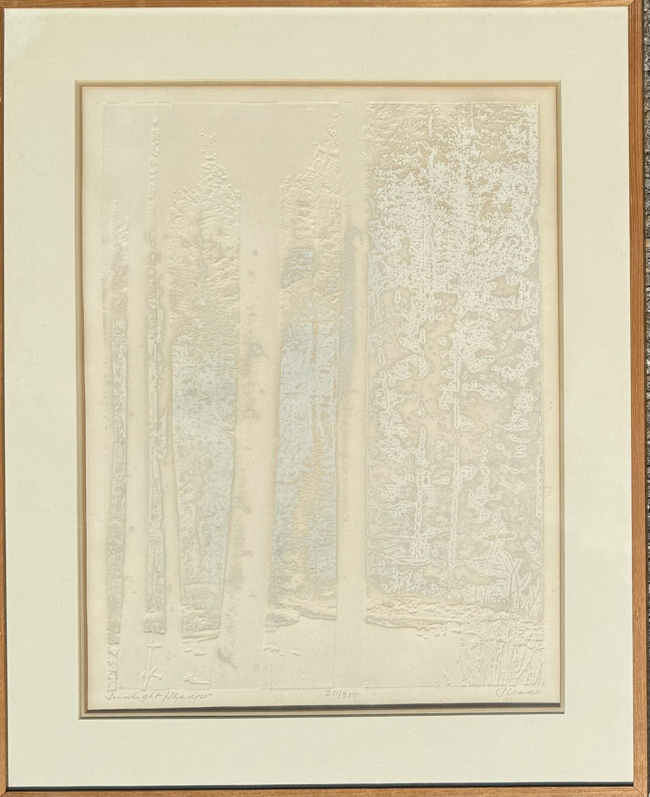 Paula Crane Silk Screen “Sunlight/Shadow” 211/300 Circa 1975