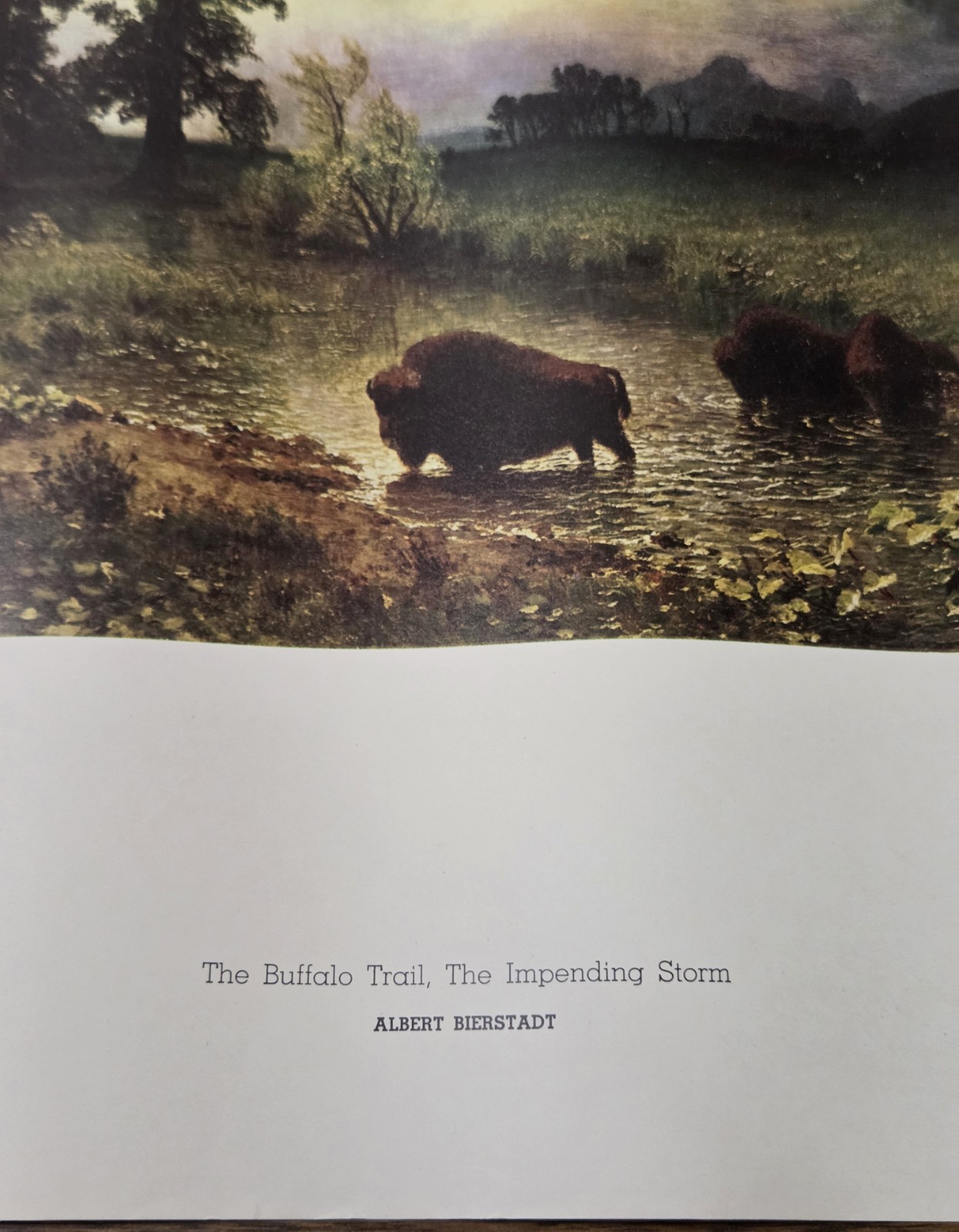 Albert Bierstadt Buffalo Trail Impending Storm Vintage Art Museum Print Corcoran