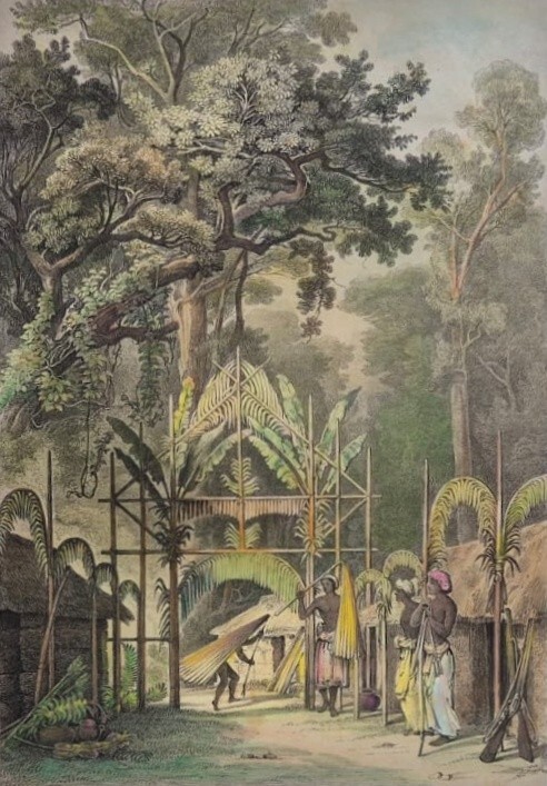 RARE HAND COLOURED PRINT WALDEMAR, 1844-46, GALBOCKA , CEYLON, SRI LANKA
