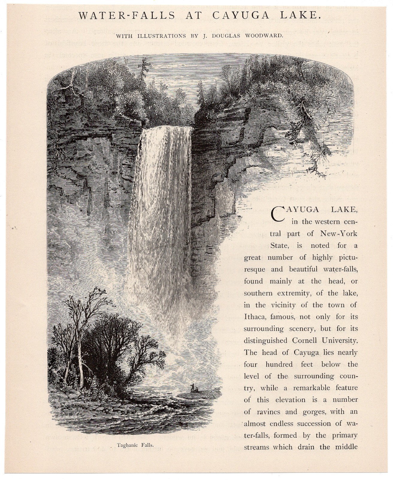Waterfalls at Cayuga Lake and Taughannock Falls Near Ithaca New York 1872
