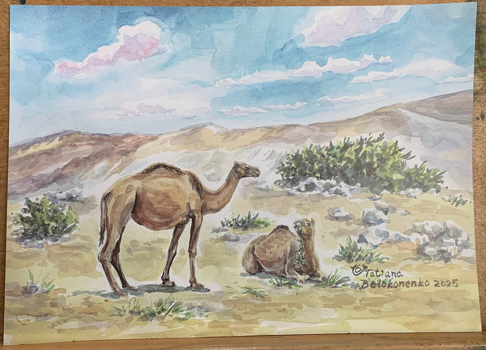 Camels – prints from a watercolor painting