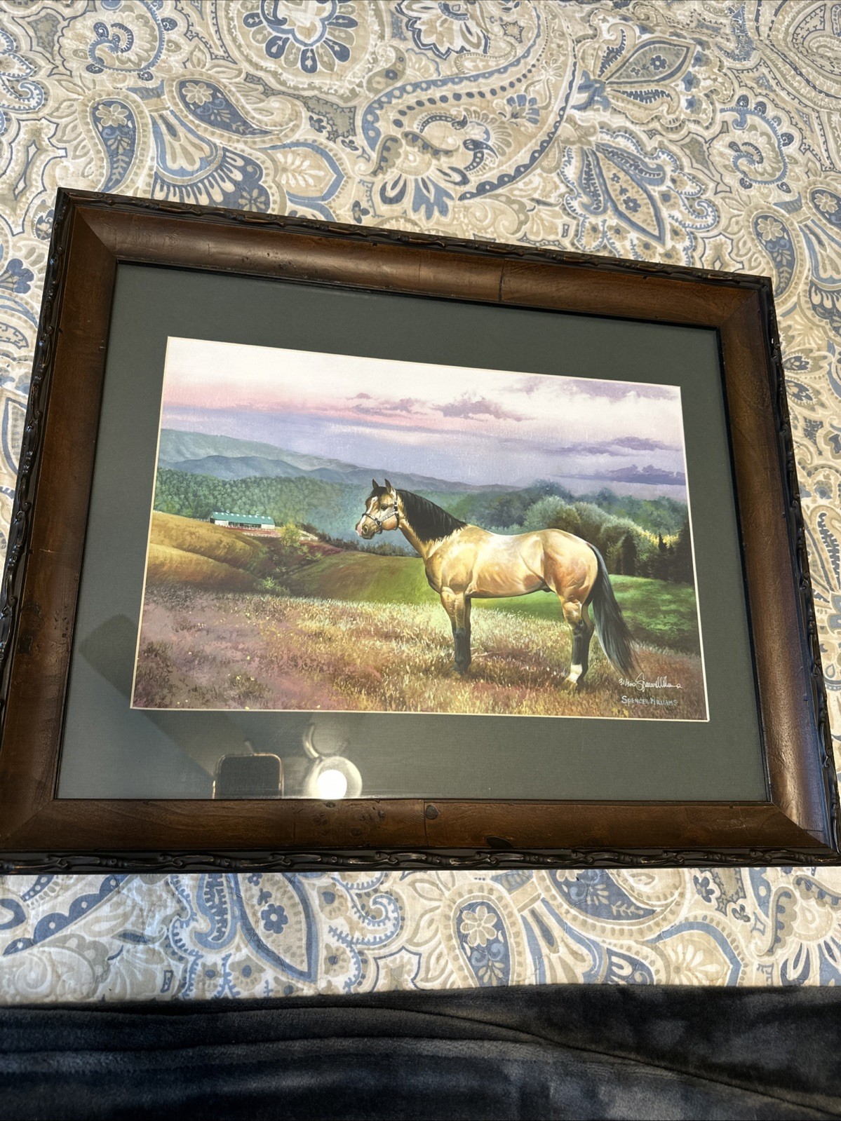 Horse in the Pasture Limited Edition 31/300 Signed & Framed by Spencer Williams