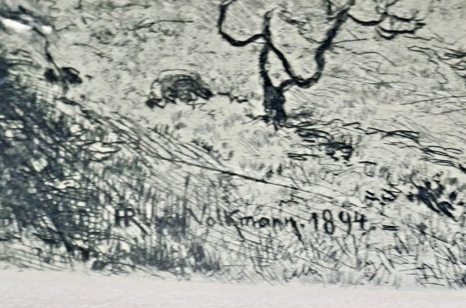 Antique Original 1894 Artist-Signed Etching H.R. VON VOLKMANN Düsseldorf School