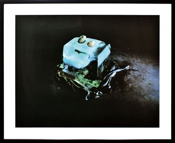 Edward Ed Ruscha Silk Screen Print Closed Tropical Fish Series Signed ED53 1974