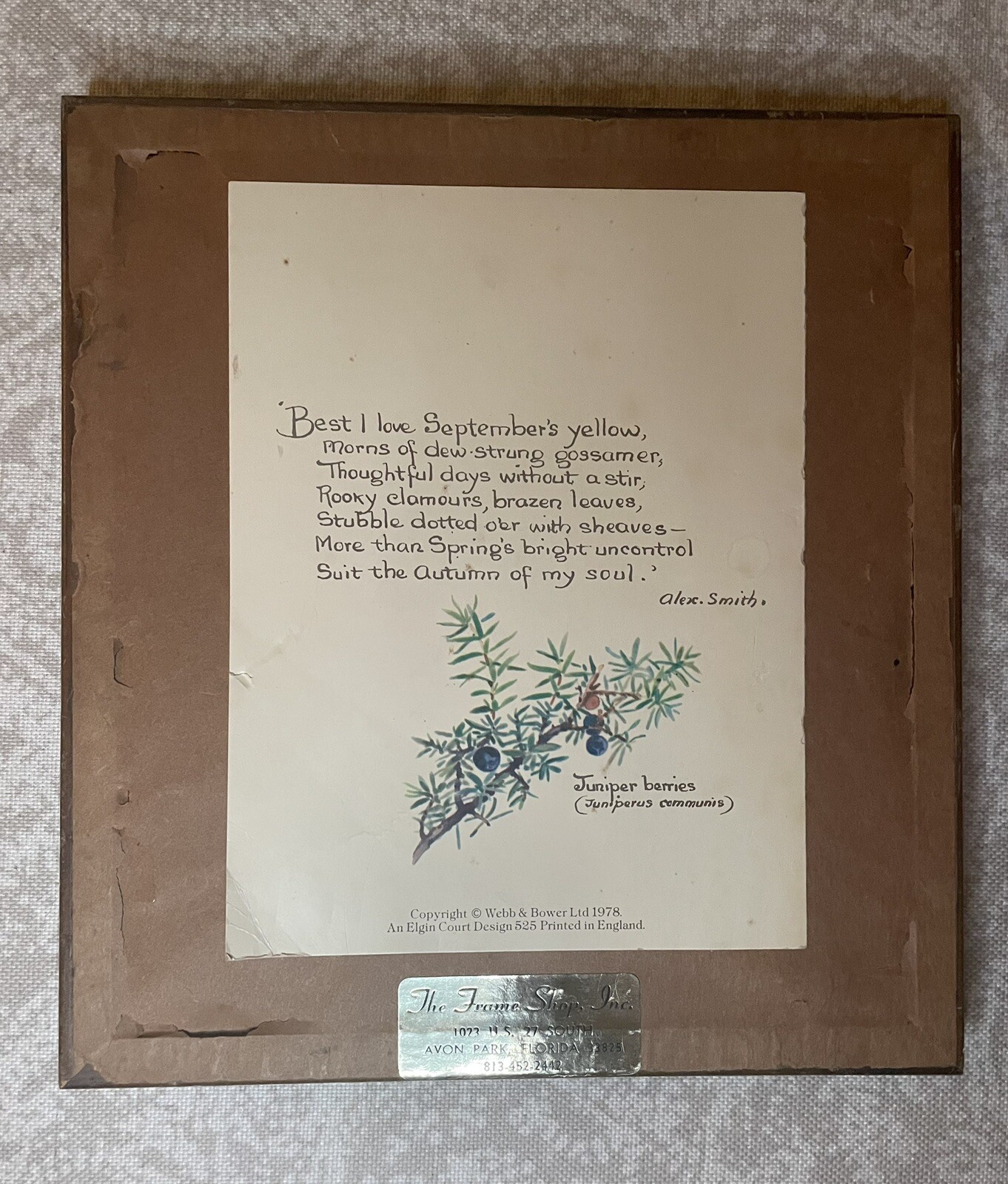 Vintage 1970s House Sparrows And Oats Print In Natural Wood Frame Cottage Farm