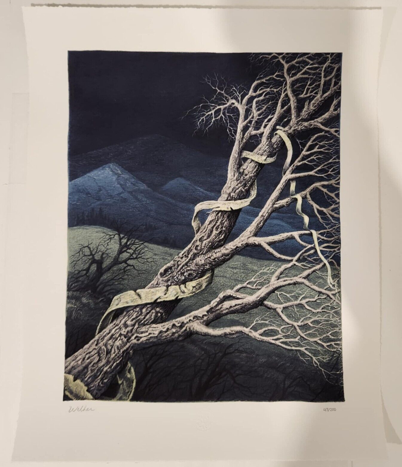 David WELKER “The Pantomime Tree” 2021 1st Edition Phish Signed Numbered #47/200