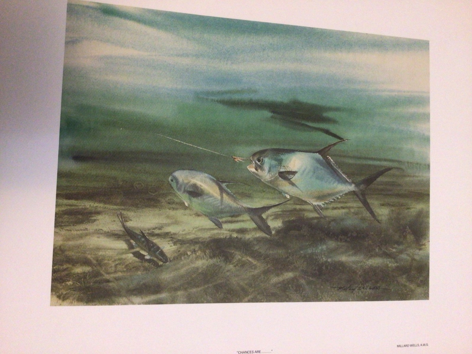 Millard Wells Art Prints Signed