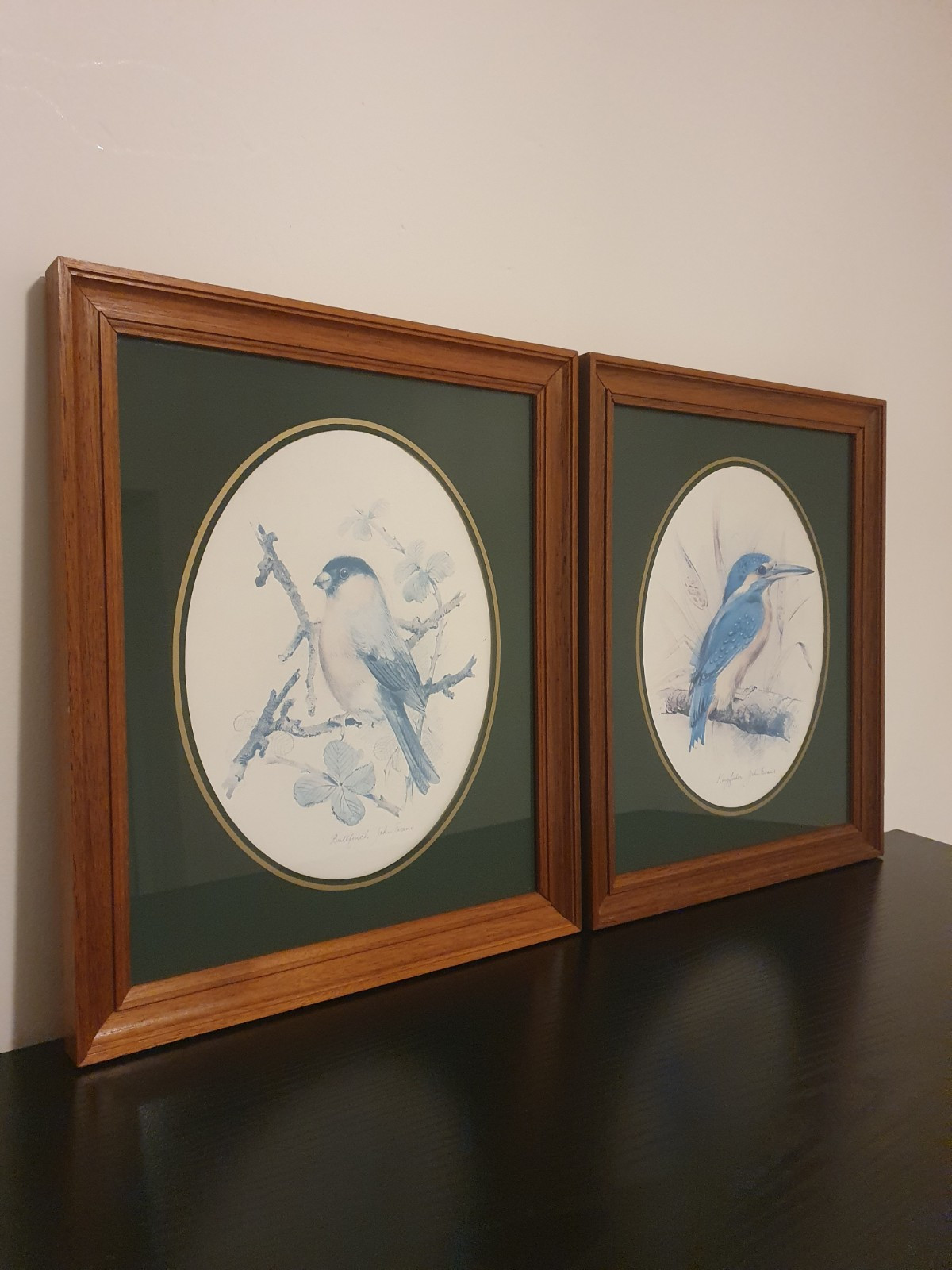 Lrg Vintage Art John Evans Framed Bird Prints Bullfinch Kingfisher Nature Decor