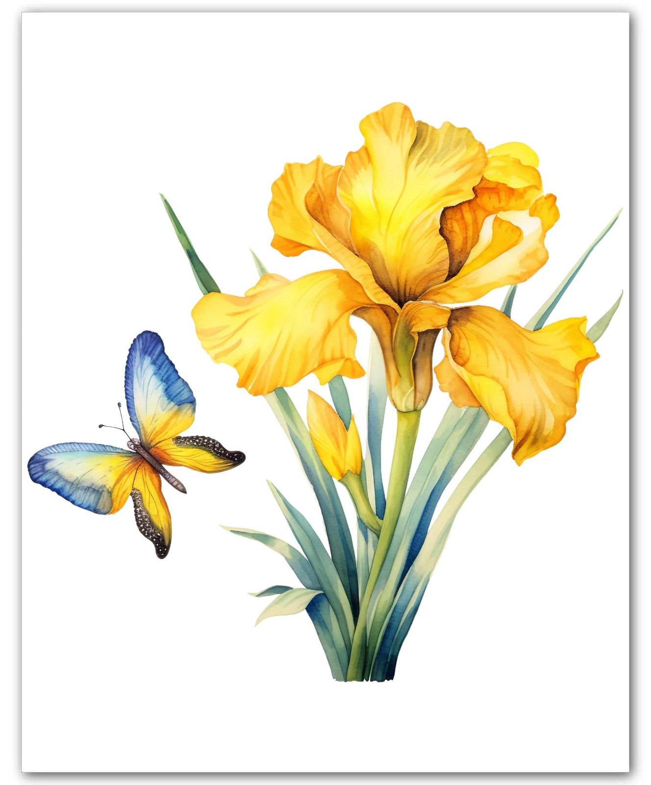 Yellow Iris Tall Stem 8×10 Photo Print Botanical Flower Wall Art