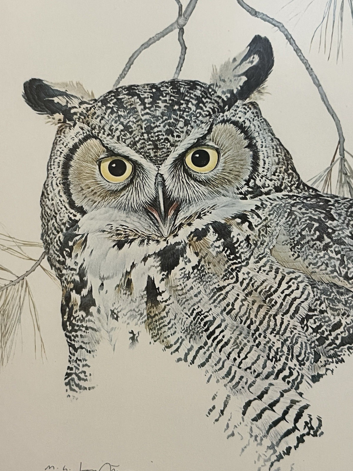 M.G. Loates Great Horned Owl Framed Wildlife Art Print Signed in Image