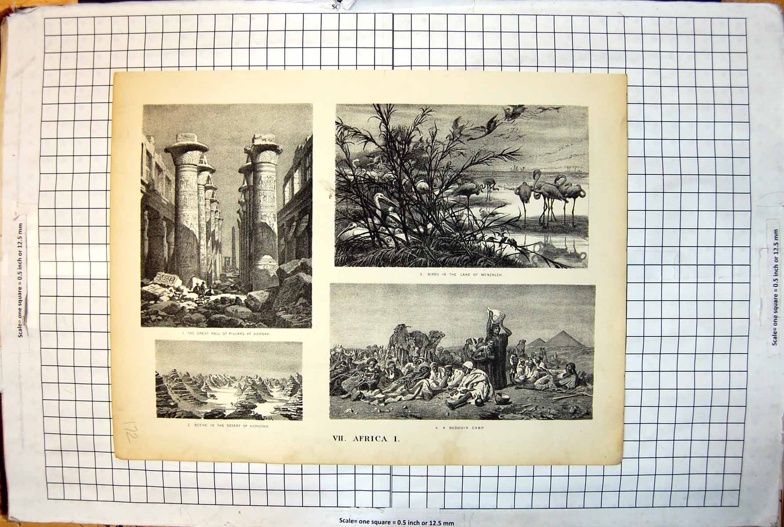Old Africa Pillars Karnak Birds Menzaleh Korosko Desert Bedouin 1889 172J 19th