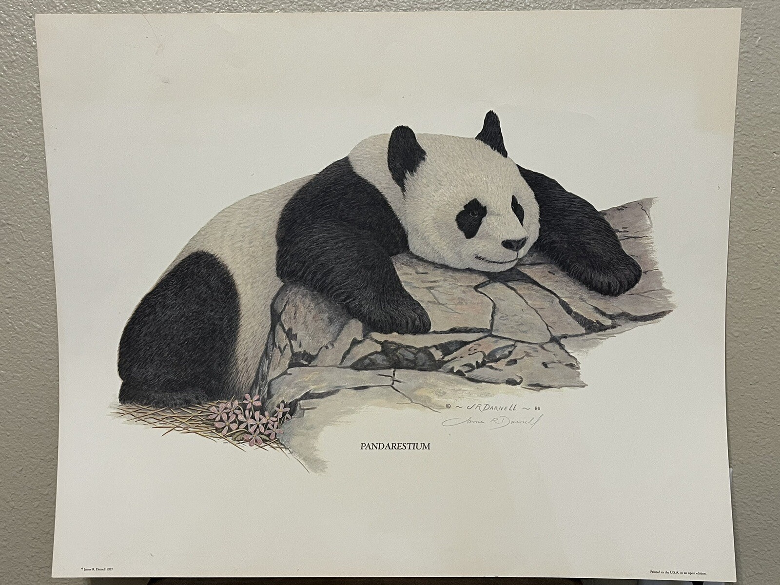1986 Vintage “PANDARESTIUM” Panda Print Pencil Signed JAMES R. DARNELL Art RARE!