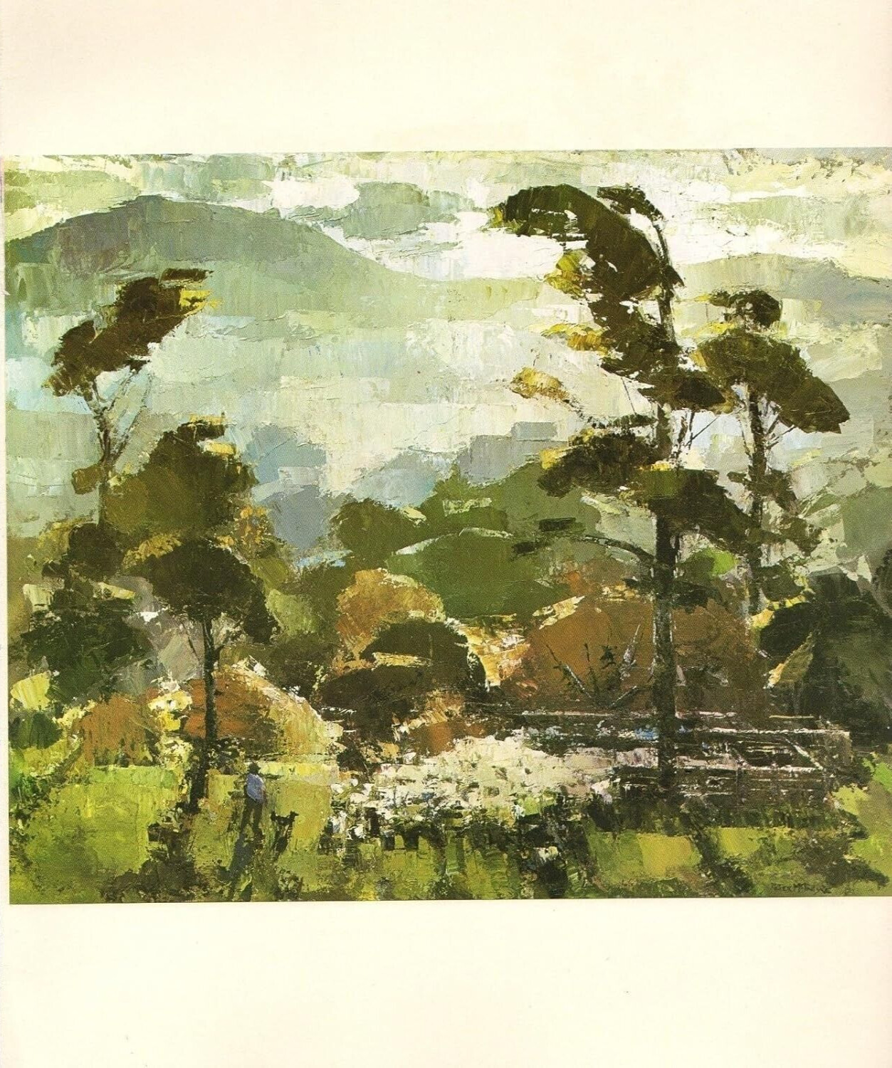 1964 Vintage New Zealand Full Color Art Plate “BUSH SCENE” McIntyre Lithograph
