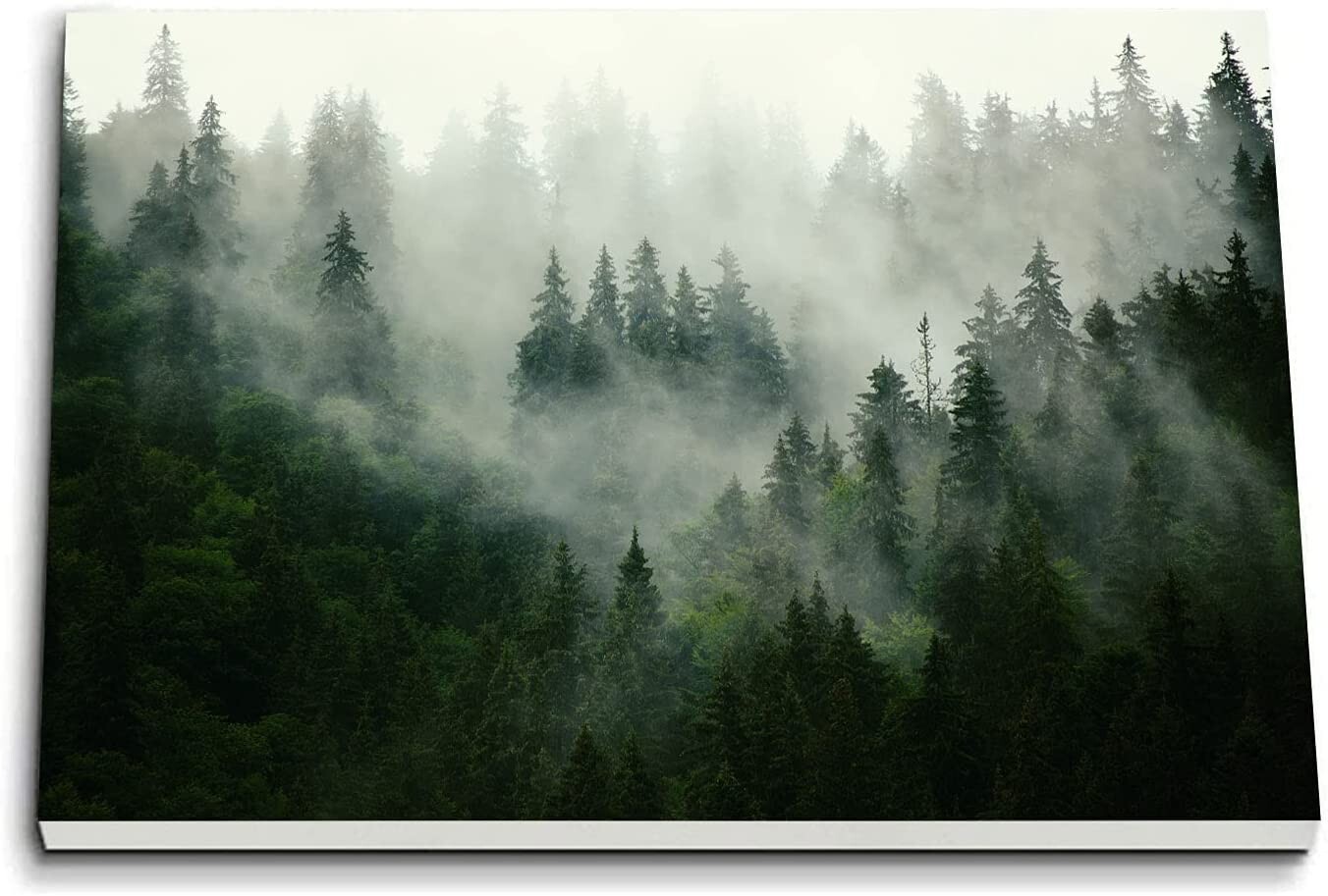Misty Forest Wall Art (20 x 30 Inches) Trees in Foggy Mountain Decor – Mounted