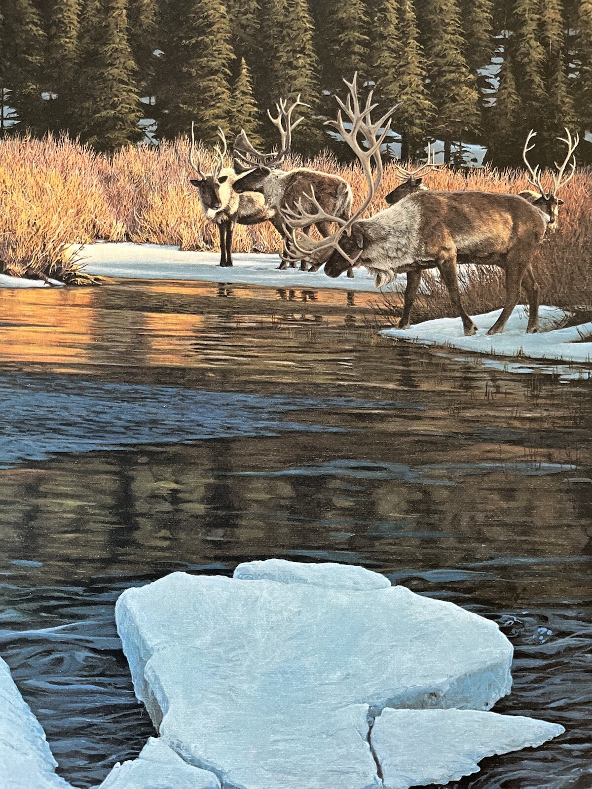 Rod Frederick Woodland Crossing 1987. # 1169/1500