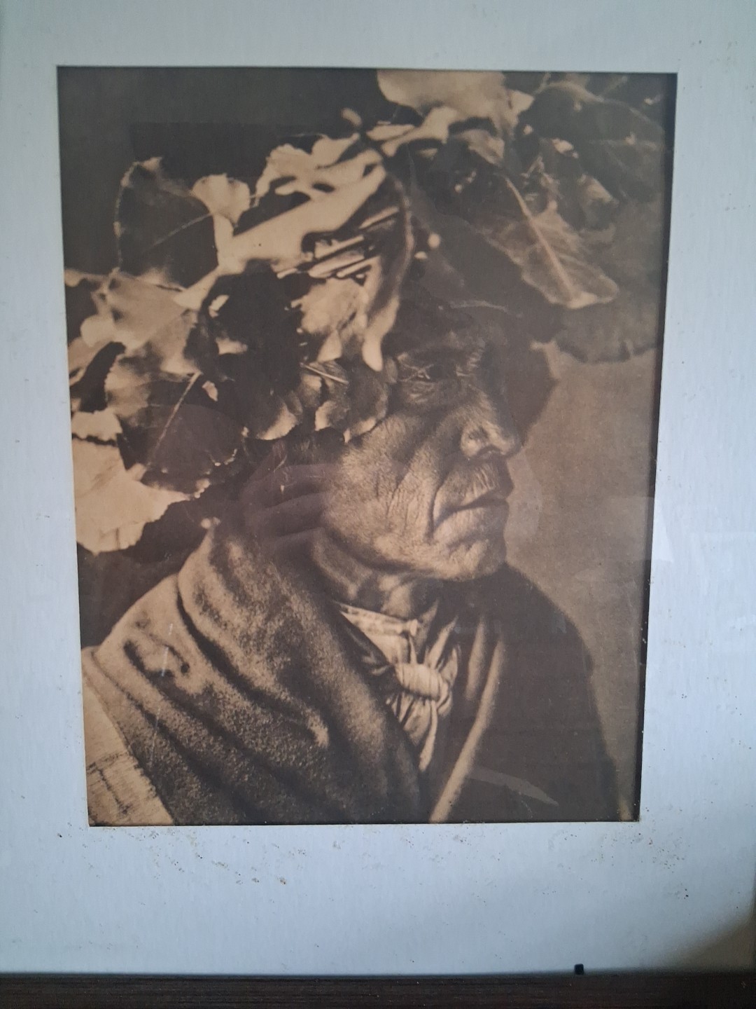 Porcupine – Cheyenne