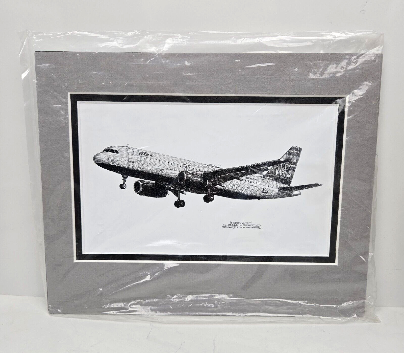 Aviation Art Joe Milich Limited Edition Print Jet Blue Airbus Signed Matted 2006
