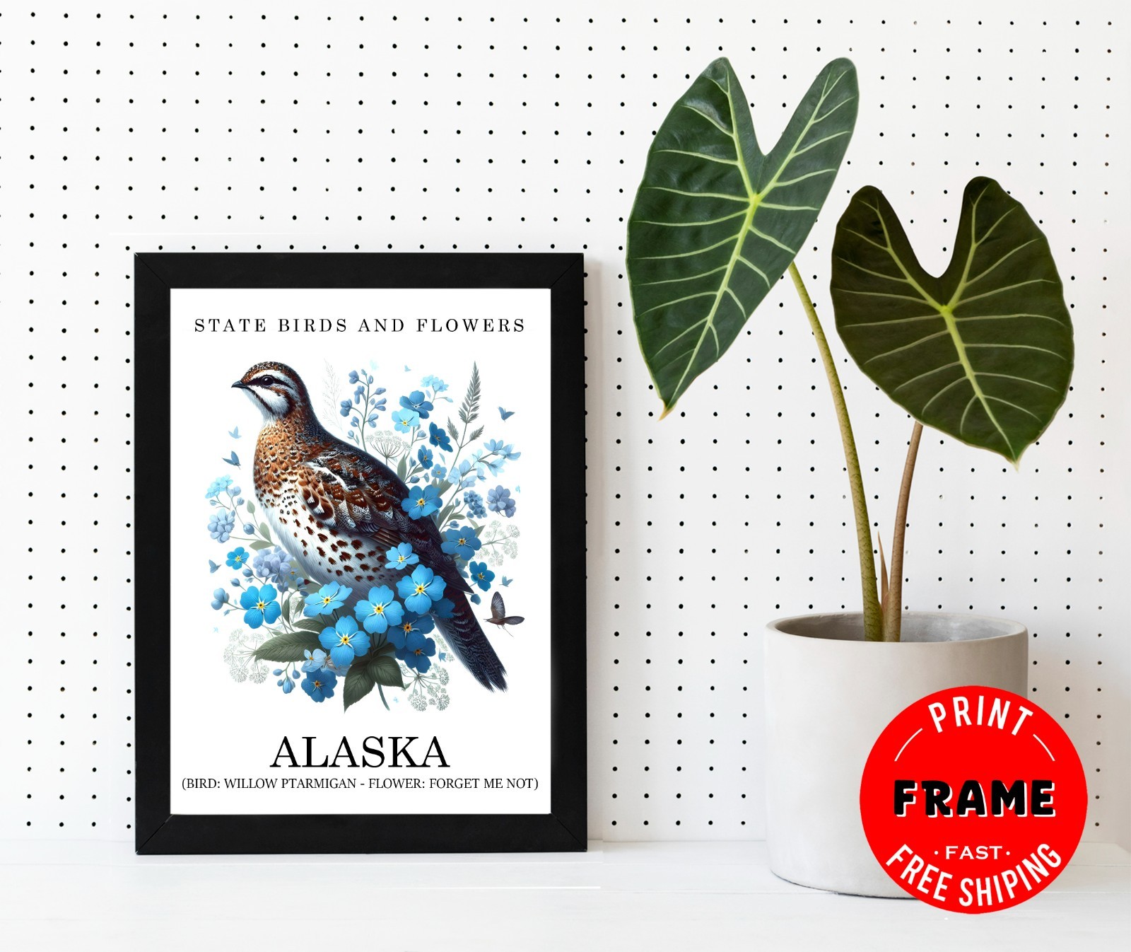 Framed Alaska State Bird & Flower Poster, State Symbols, Wall Art, Home Deco