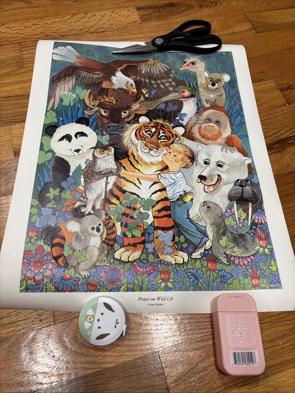 George Buckett 1972 Poster Print Protect Our – Wild Life Donald Art Co. Kids Art