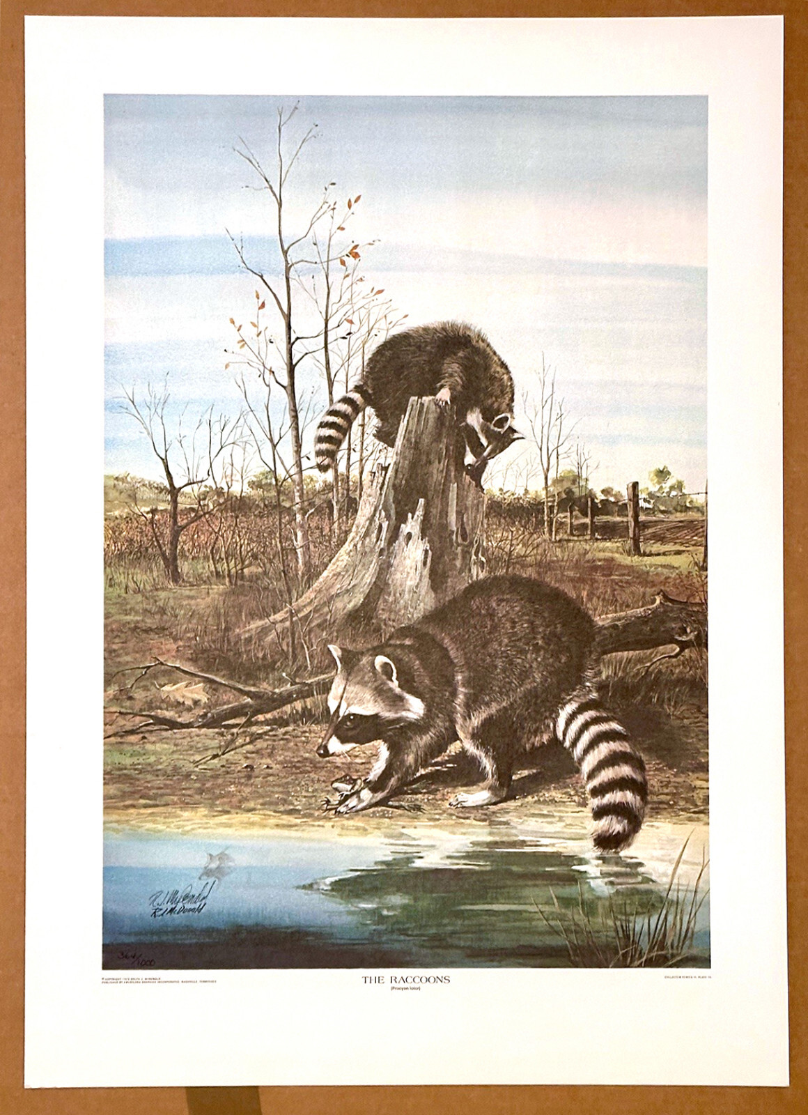 “Raccoons” Limited Edition Print w/Original Pencil Remarque R.J. Ralph McDonald