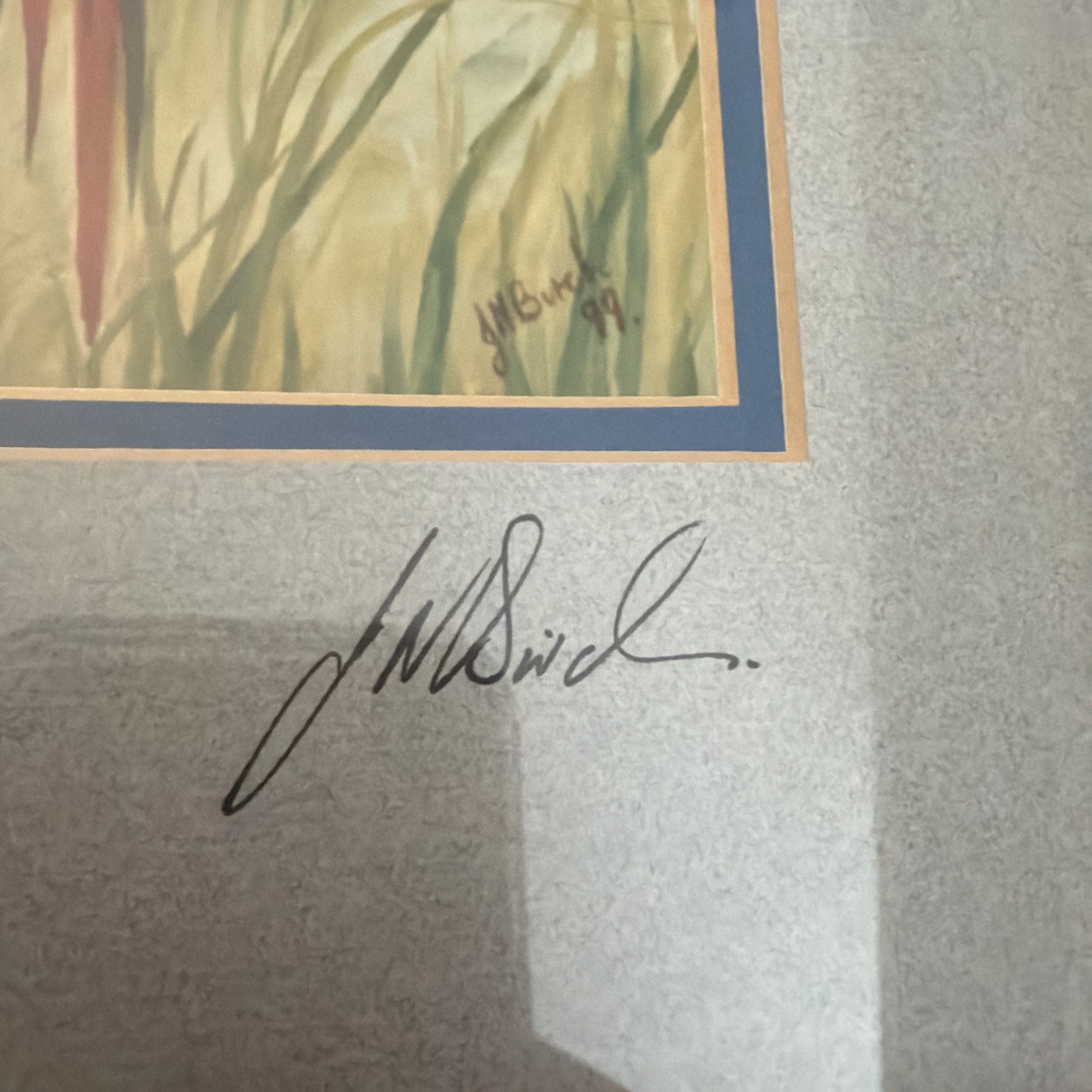 Framed Ltd Edition Signed Print Scarlet Macaws 2/300 J N Birch With COA 54x42cm