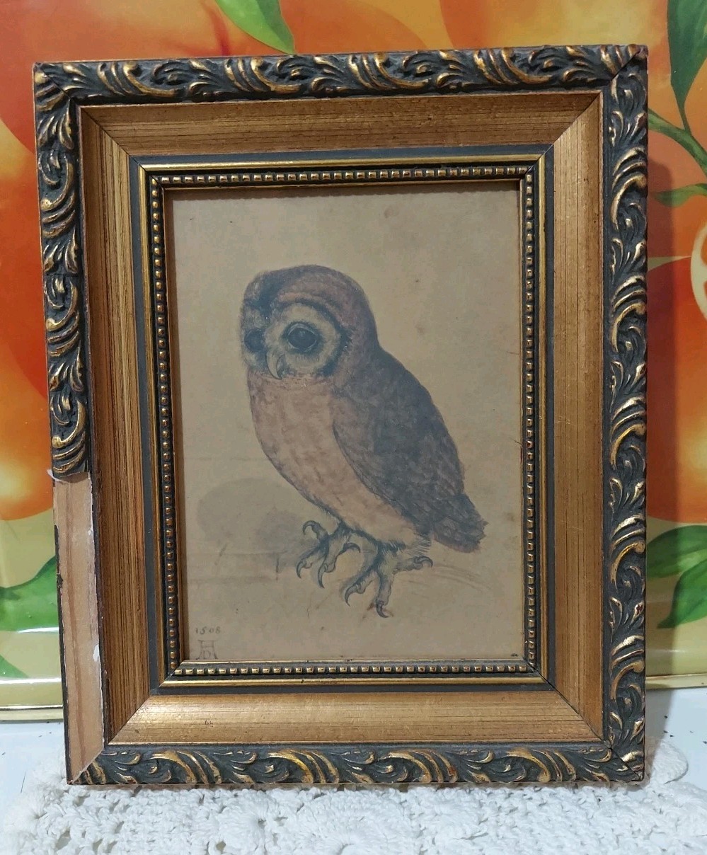 The Little Owl Print By Albtecht Durer #1508 , 5.5″ x4″ In Frame, Marked. (Read)