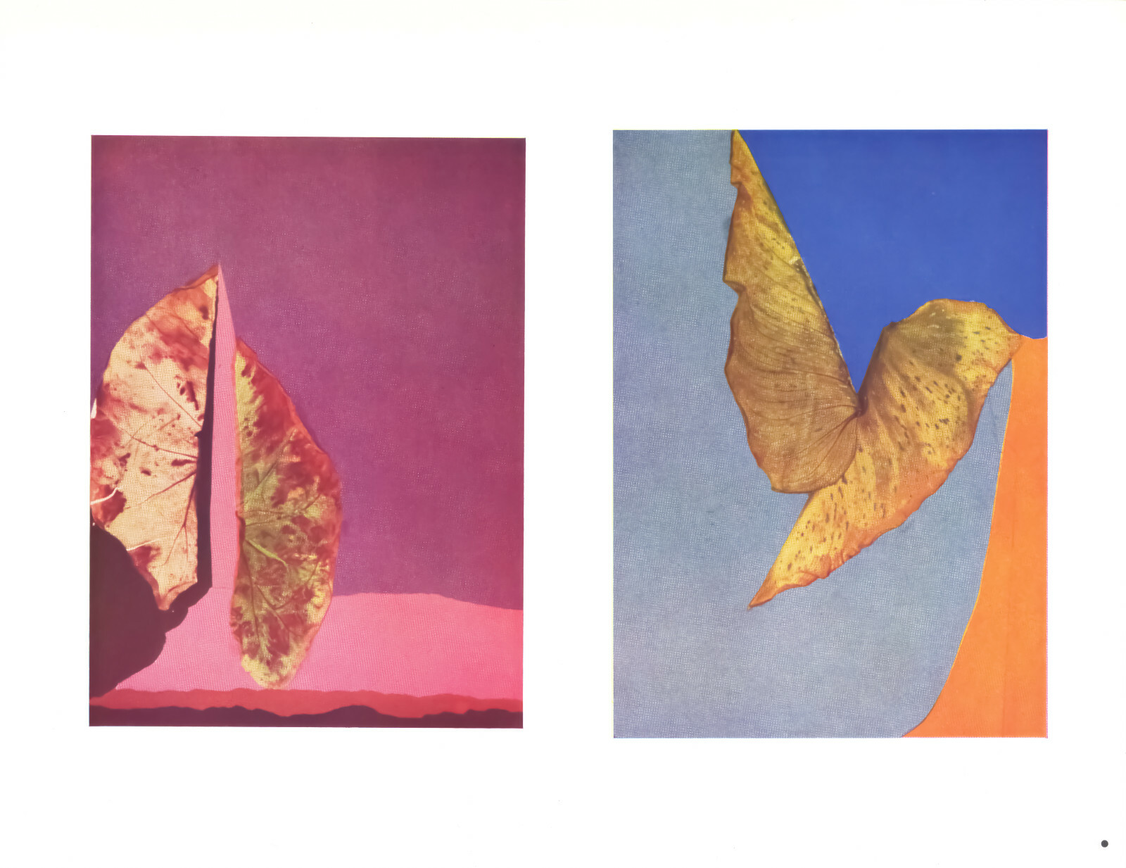 Josef Albers – “The Interaction of Color” XXV-5 Left (Abstract Autumn Leaves)