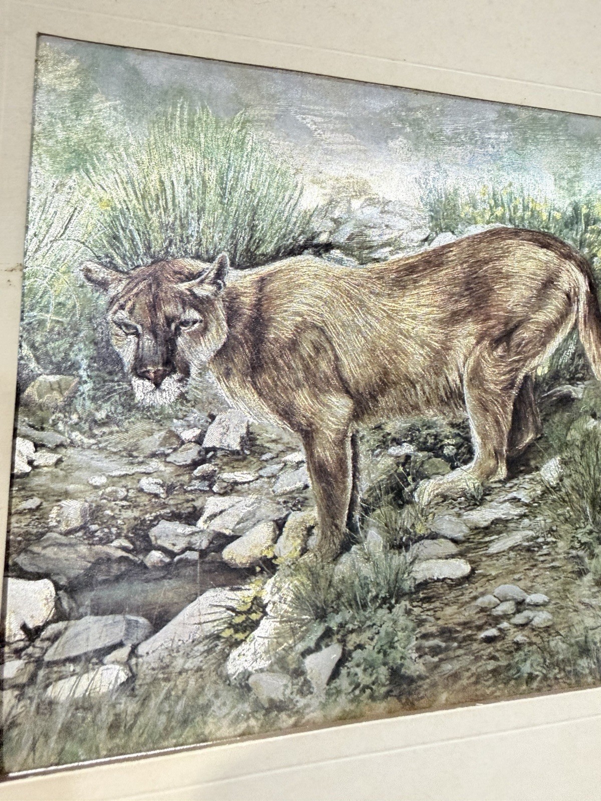 Vintage Metallic Mountain Lion Wildlife Art Print 6×8 Unframed