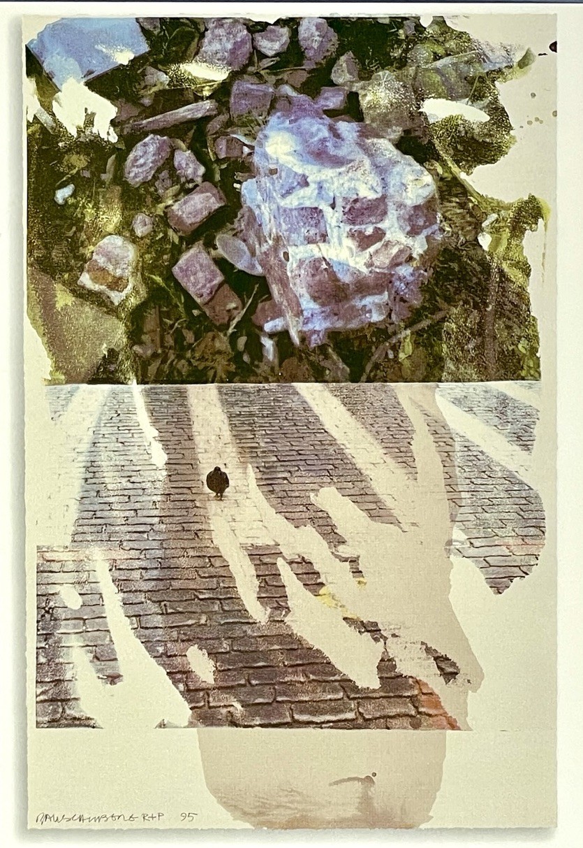 Robert Rauschenberg Art Print Card 2024 Gemini Gallery – Sublime (Speculations)