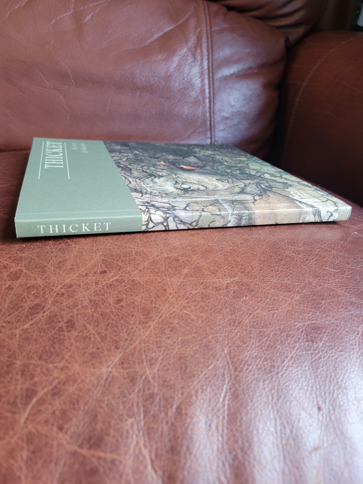 RARE Book Thicket The Art Of Lily Seika Jones