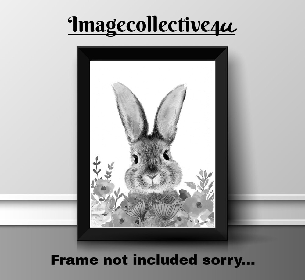 RABBIT BUNNY B&W FUN A4 PRINT PICTURE POSTER IMAGE WALL ART HOME DECOR GIFT NEW