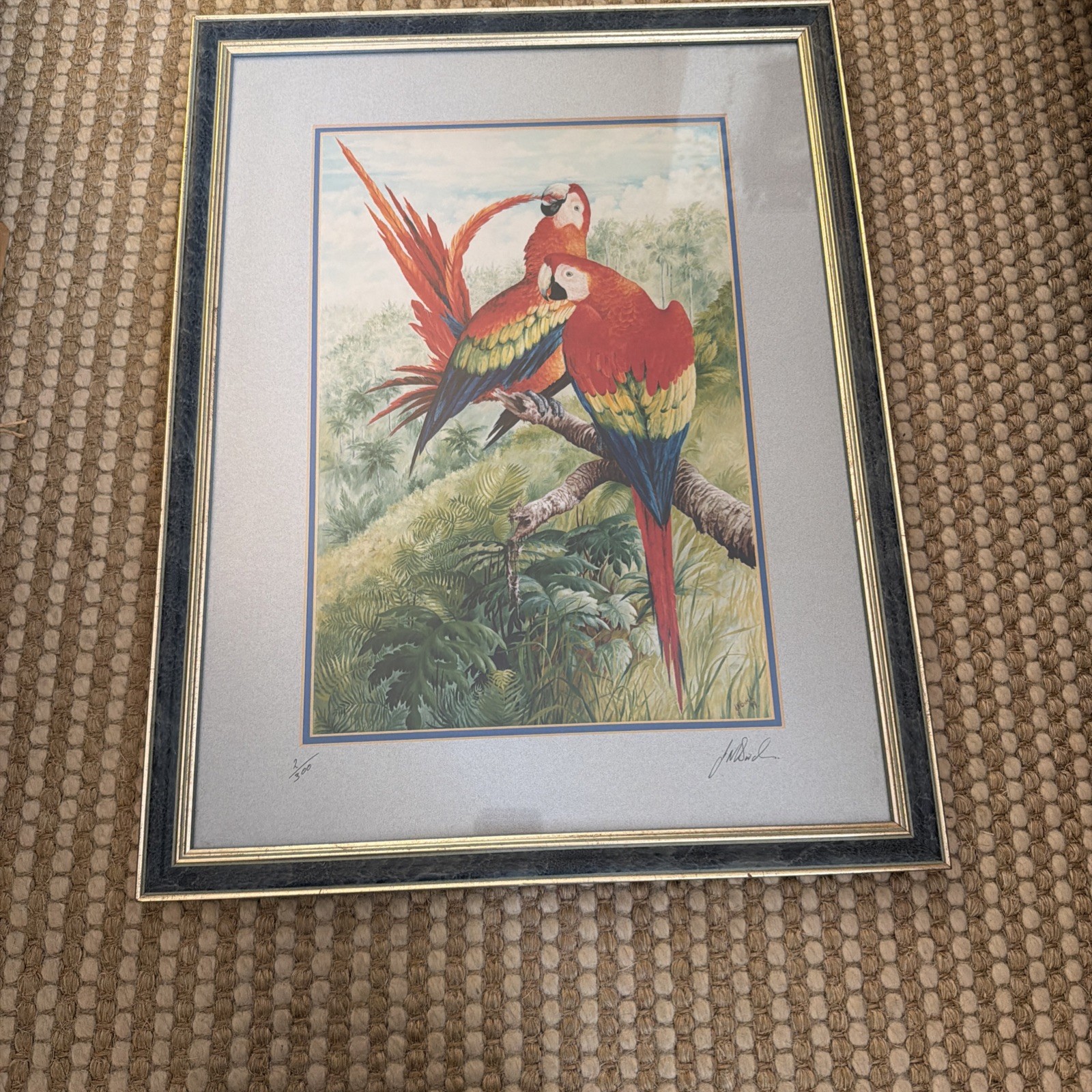 Framed Ltd Edition Signed Print Scarlet Macaws 2/300 J N Birch With COA 54x42cm