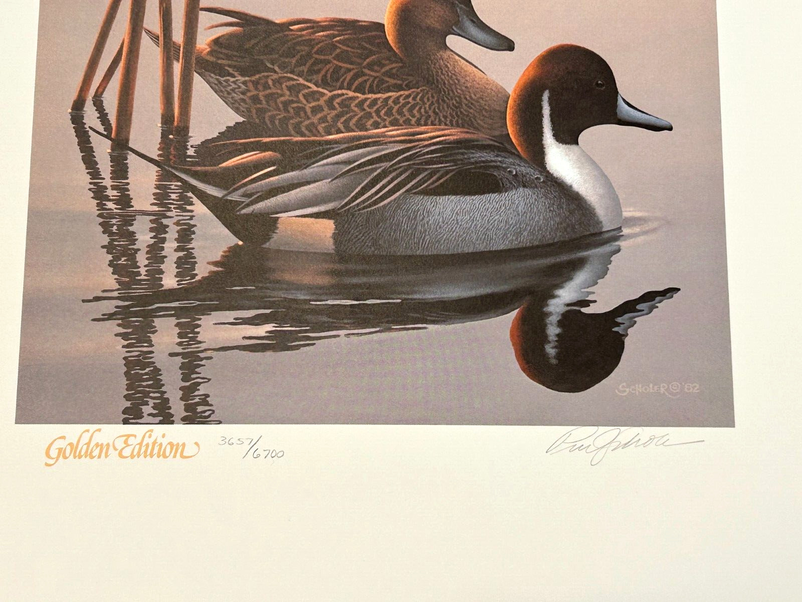 1983-84 GOLDEN FEDERAL MIGRATORY WATERFOWL STAMP GOLDEN ANNIVERSARY PHIL SCHOLER