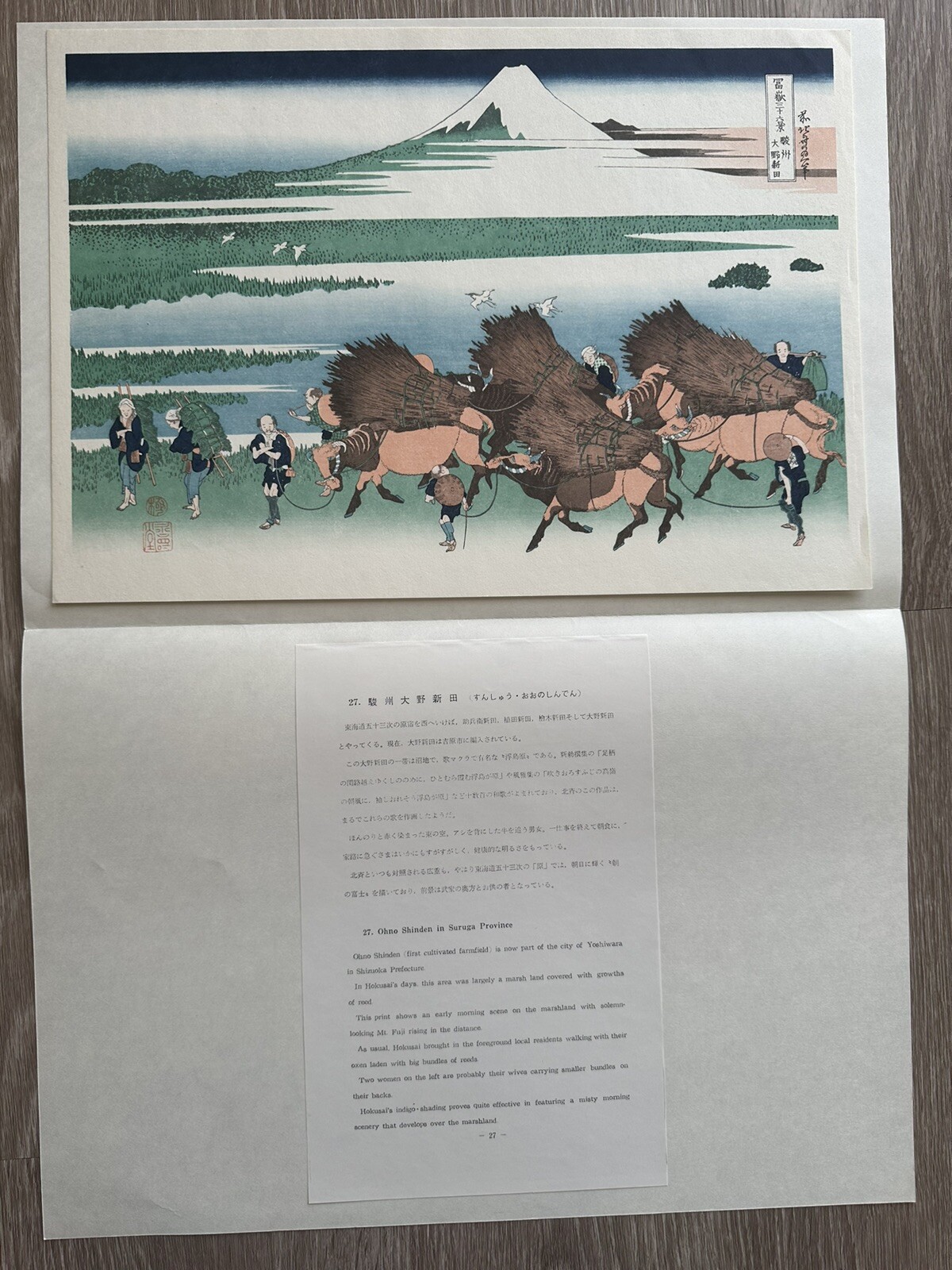 Vintage Katsushika Hokusai Ukiyo Portfolio Lithograph Prints Lot Of 10 Rare