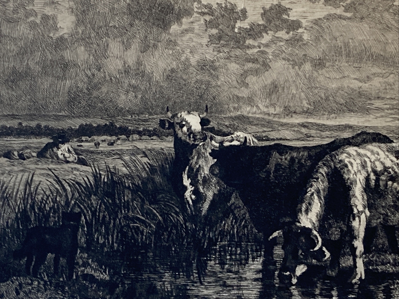 Constant Troyon Etching Richly Inked Three Cows, Man Resting Signed In Image