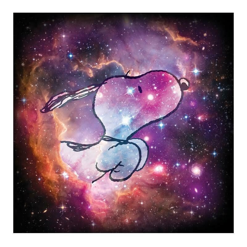 Peanuts “Reach for the Stars” Snoopy Hand Numbered Lim Ed Schulz Fine Art Print