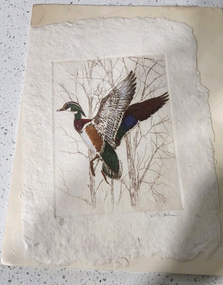 Victor Hohne Pencil Signed & Numbered 58/125 Mallard Duck Etching Cotton Paper