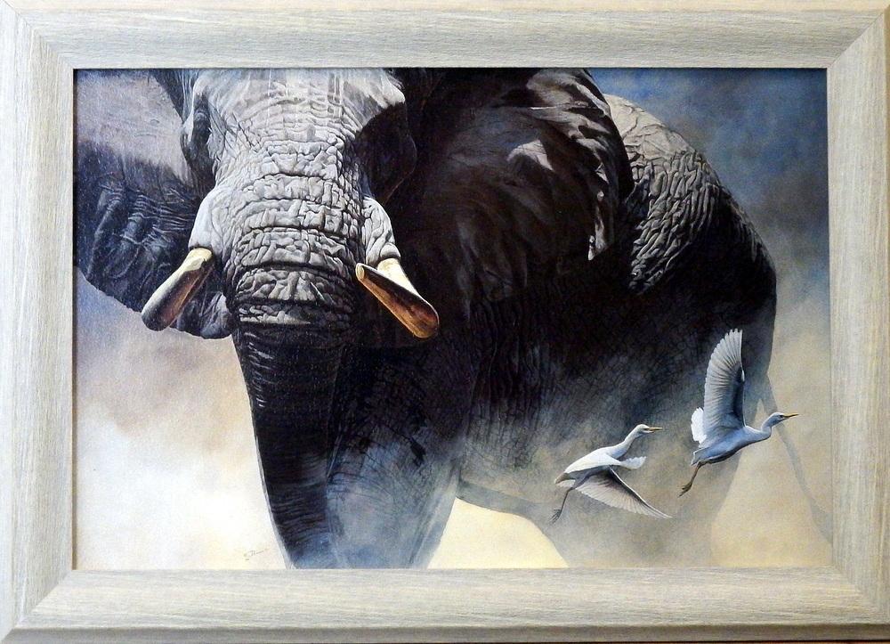 John Banovich “Patriarch” Elephant Print-Framed 21″ x 15″