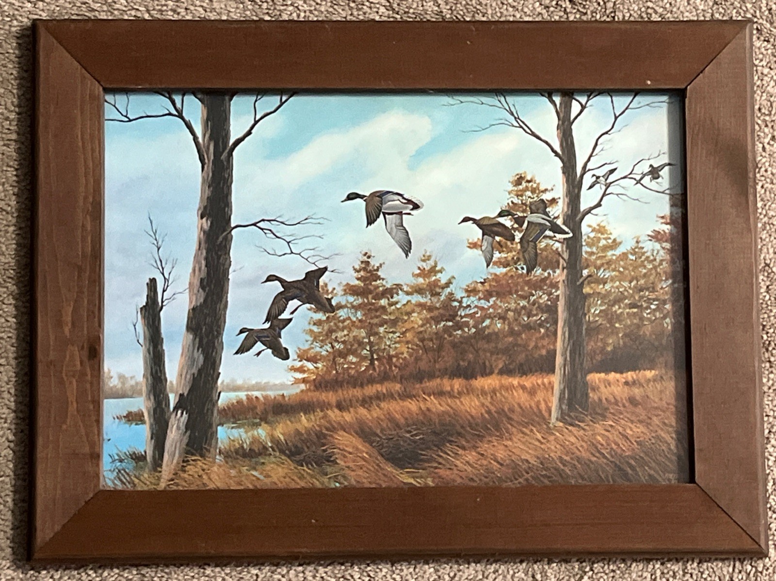 Wood Duck Country Rhynard Klingbeil Wildlife Print Artwork Wooden Framed