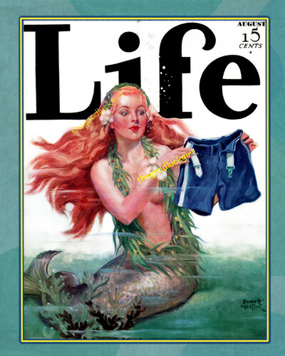 1931 Cute! MERMAID LAUNDRY LIFE Vintage magazine cover 8×10 Art print Funny!