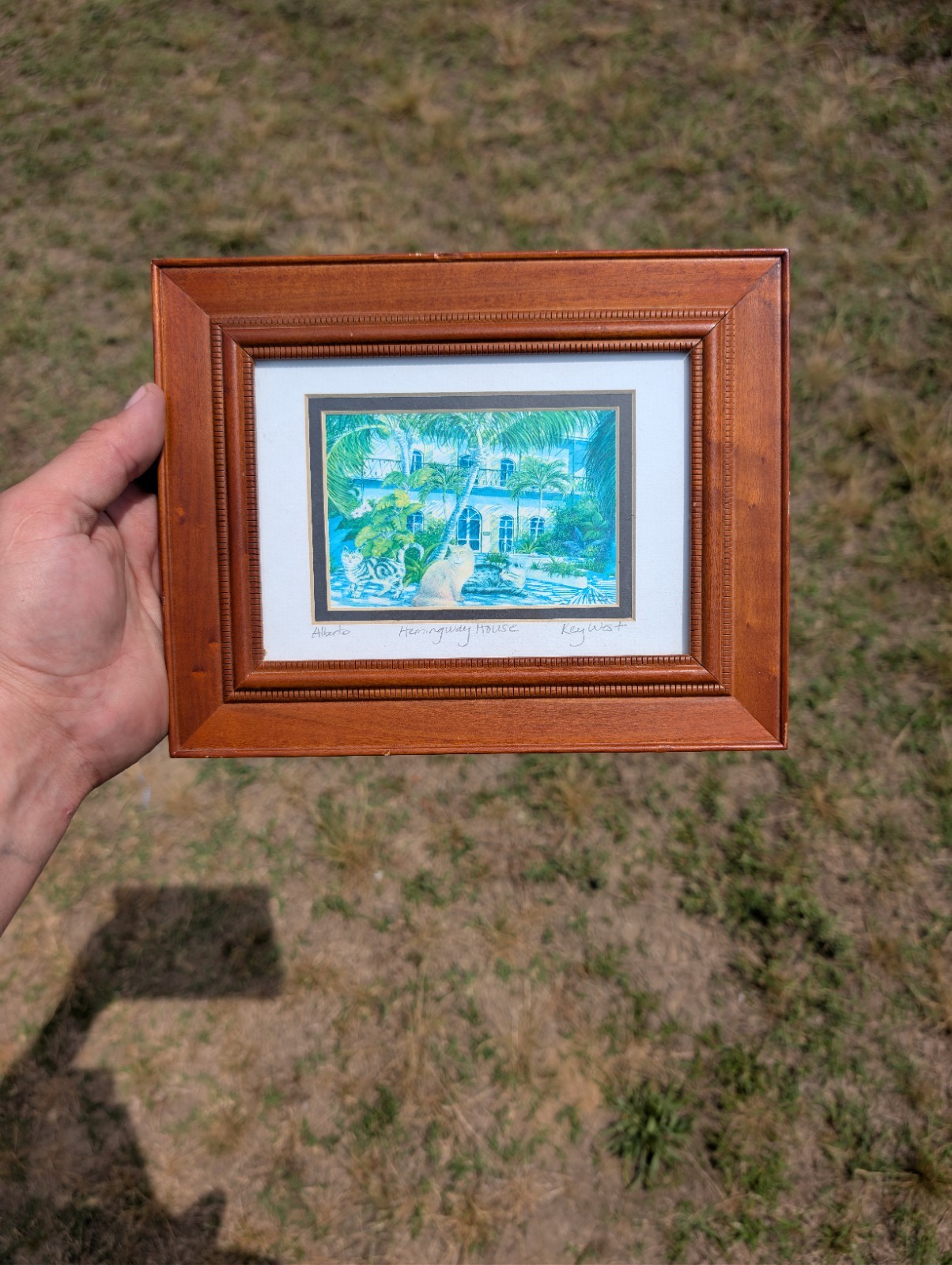 Alberto Framed Print Hemingway House Cat Palm Trees Key West Landscape Art