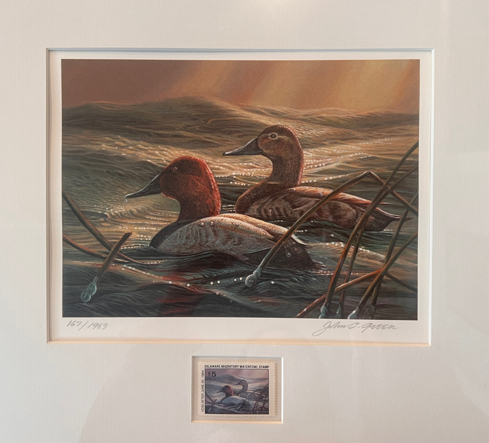 1983 Delaware Duck Stamp, May They Fly Proud, By John C. Green W/ COA