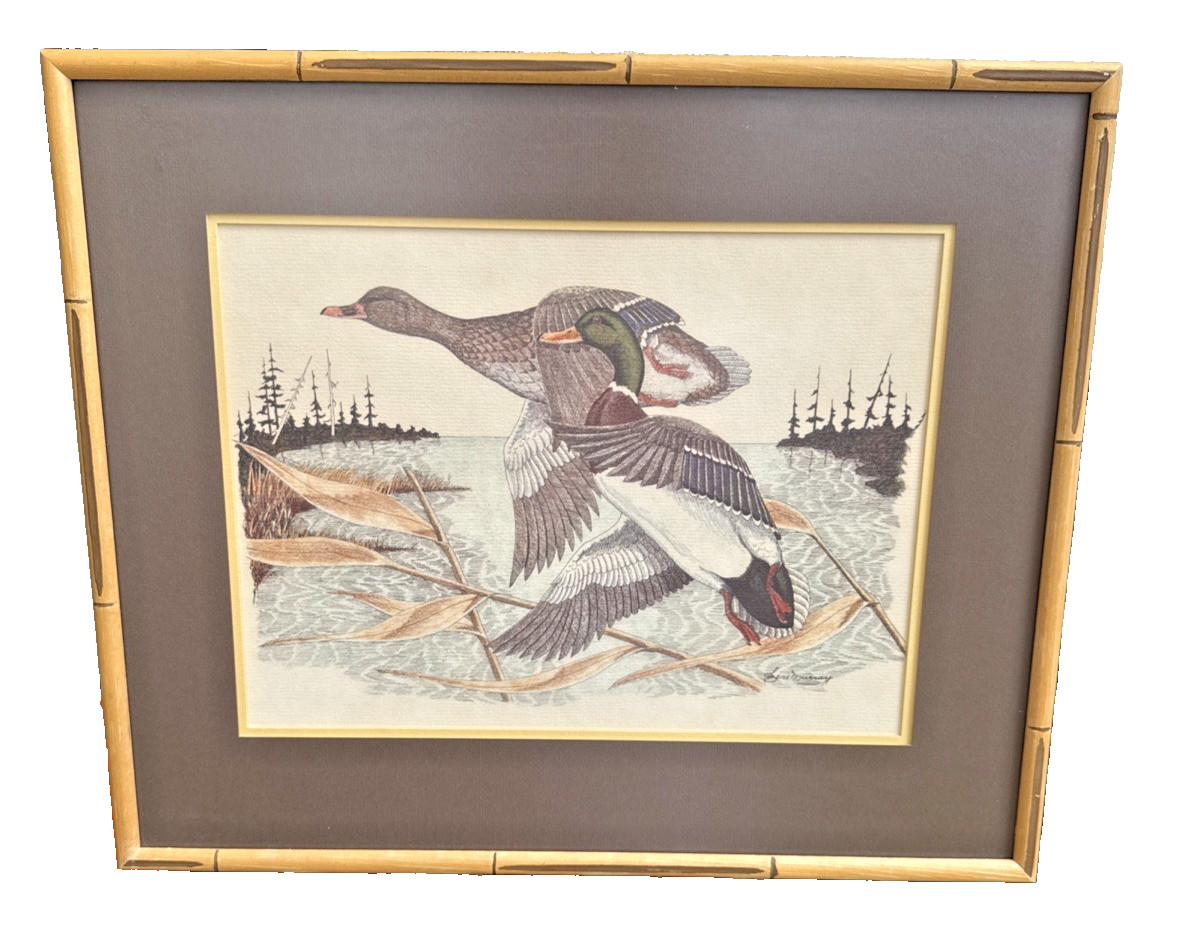 Artist Gene Murray Mallard DUCKS in FLIGHT Matted Print Framed 16″ x 14″