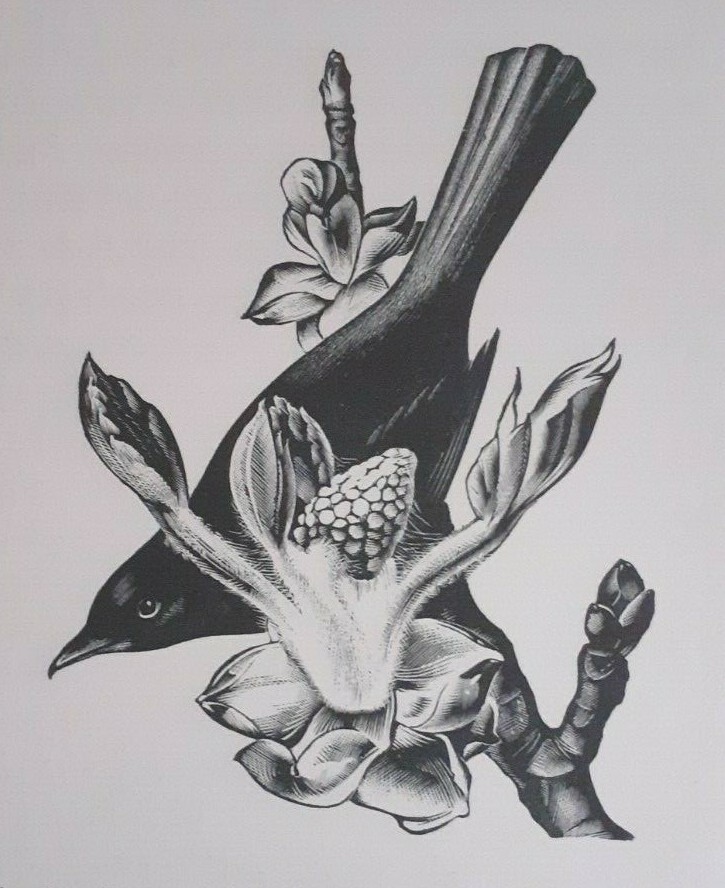 MILLER PARKER BLACKBIRD CHESTNUT FLOWER 1936 Print of a Woodcut By Agnes