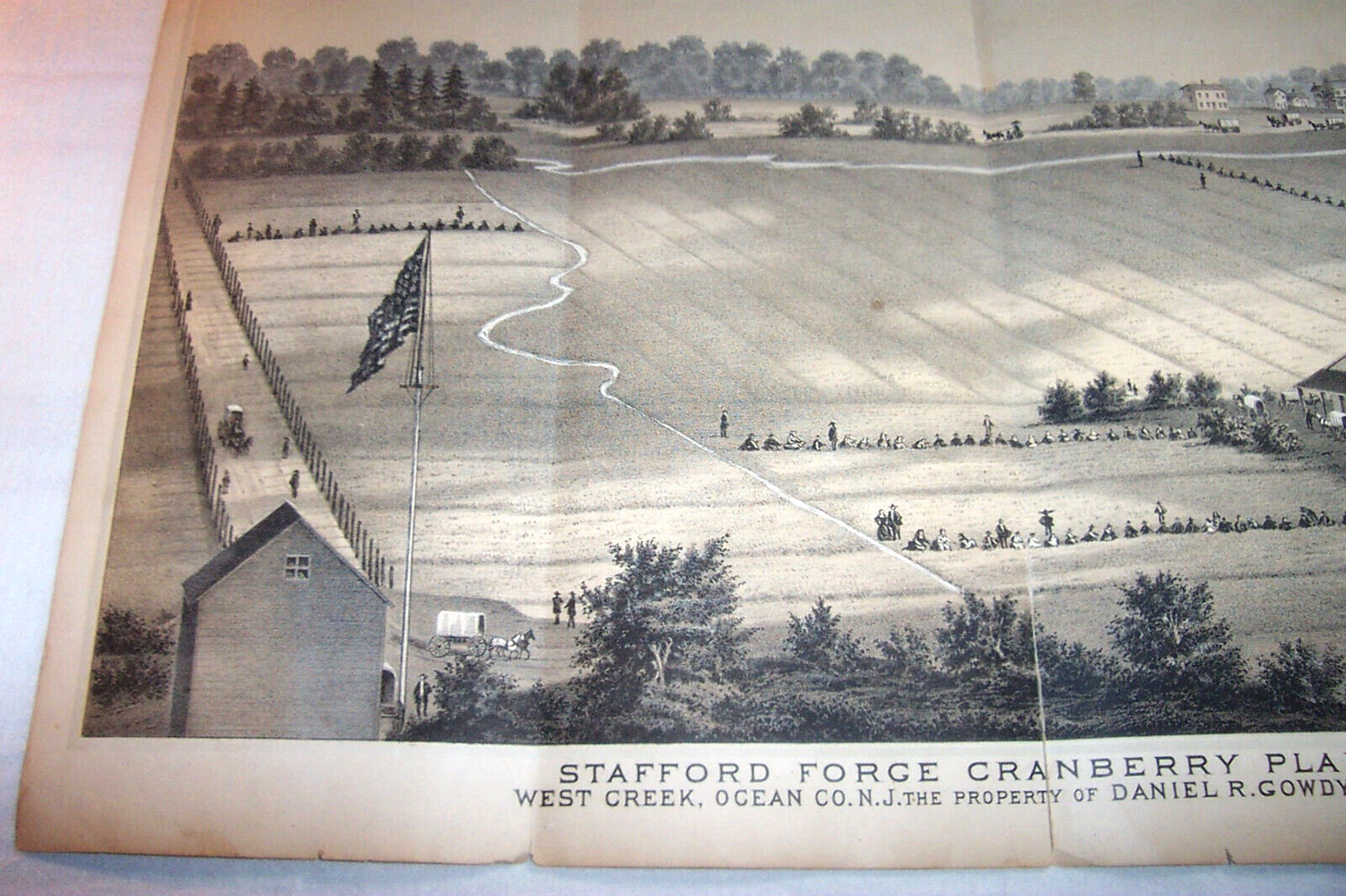 1878 Stafford Forge Cranberry Plantation , West Creek Ocean County New Jersey